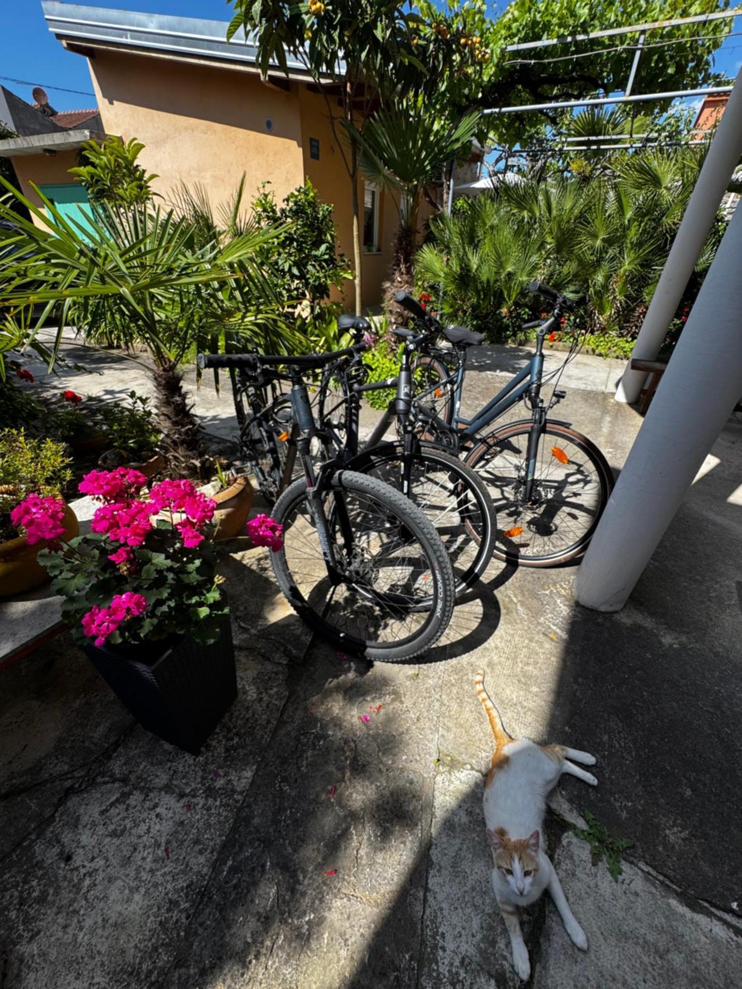 Eleonora Apartments Zadar Dış mekan fotoğraf